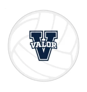 4" Valor Foam Volleyball