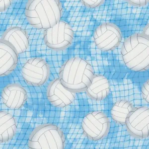 Blue Volleyball