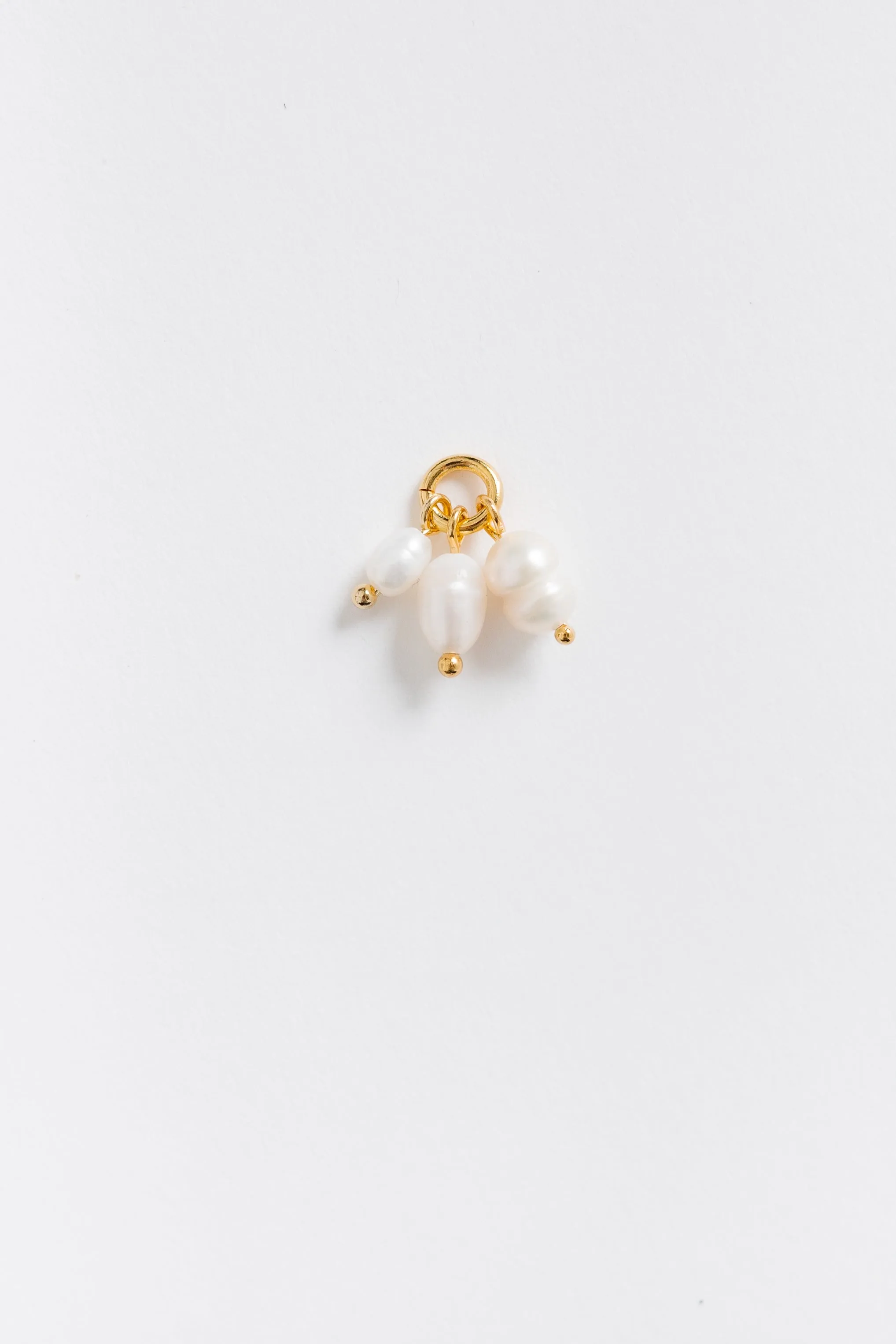 Cove Clip On Charms - Choose your favorites!