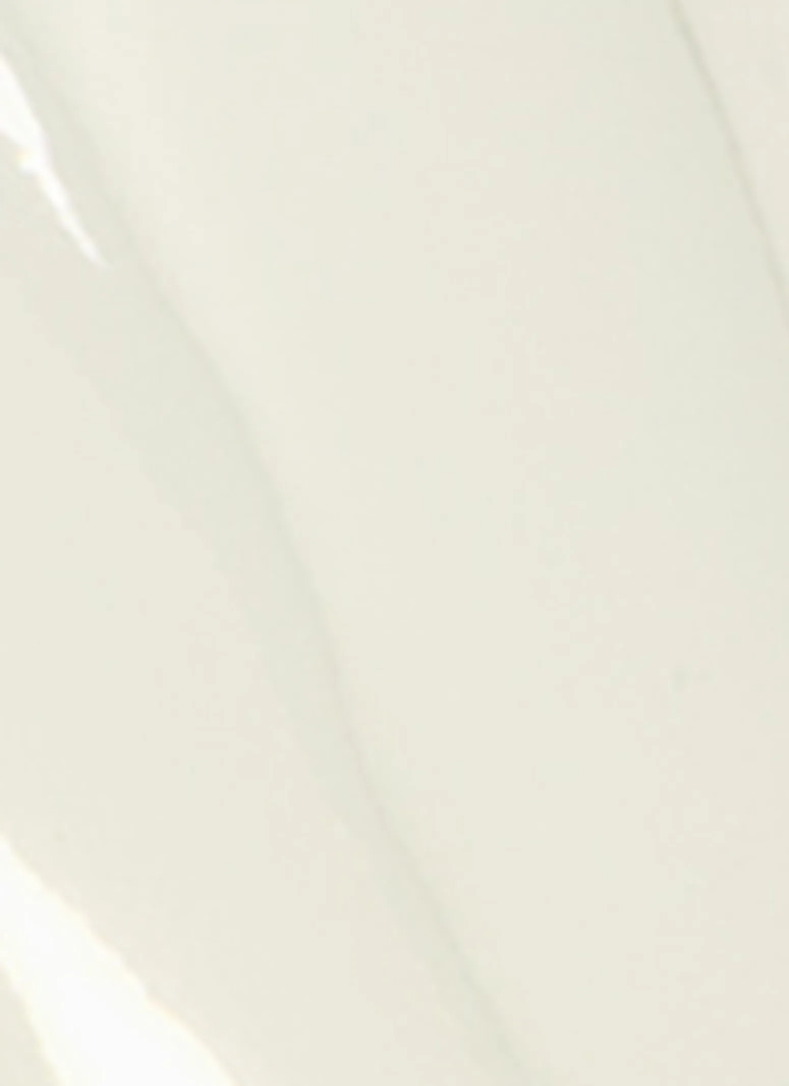 Double Buckle Slingback Flats