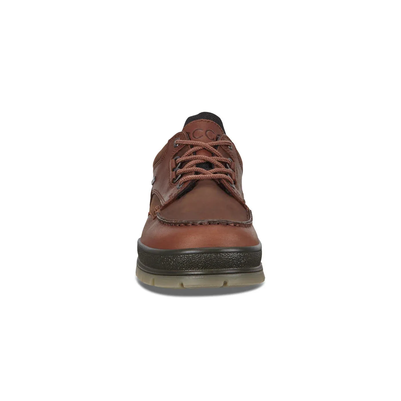 Ecco Men's Track 25 Shoe Gore-Tex Waterproof - Bison