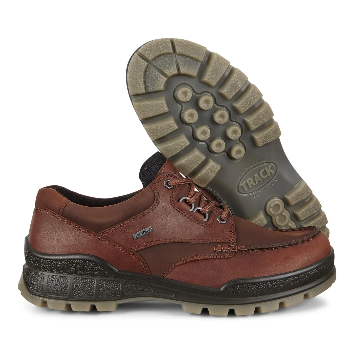 Ecco Men's Track 25 Shoe Gore-Tex Waterproof - Bison