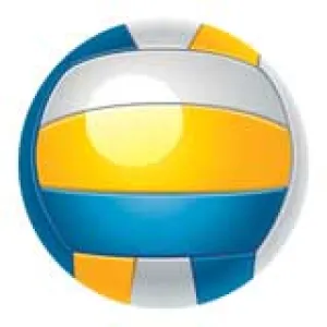 Epoxy Dome Insert, Volleyball 2"