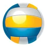 Epoxy Dome Insert, Volleyball 2"