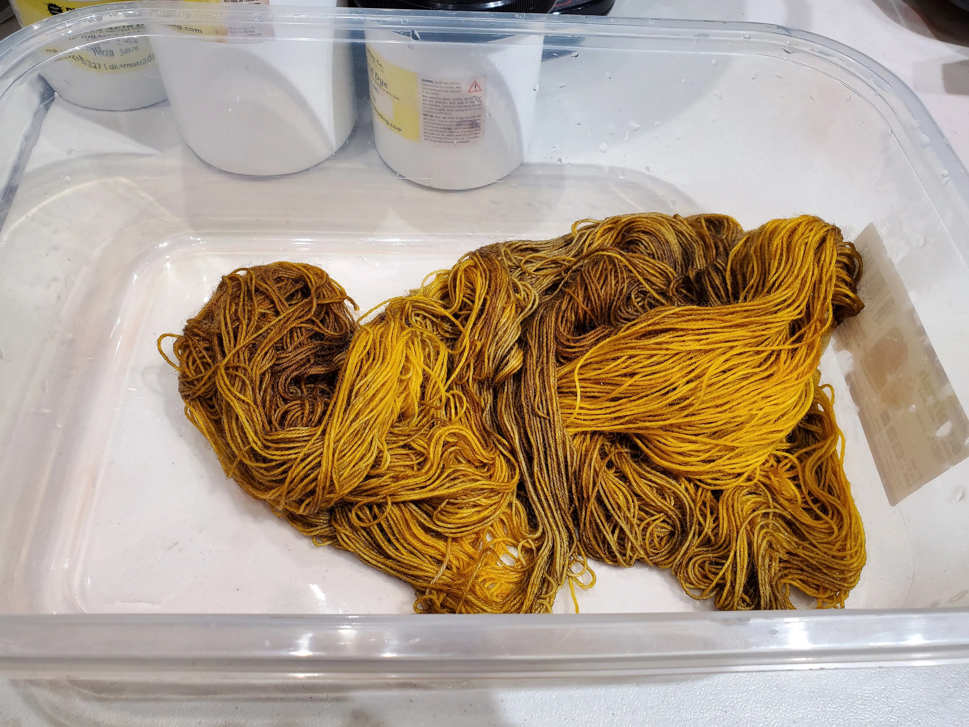 Monthly Dye Studio Membership