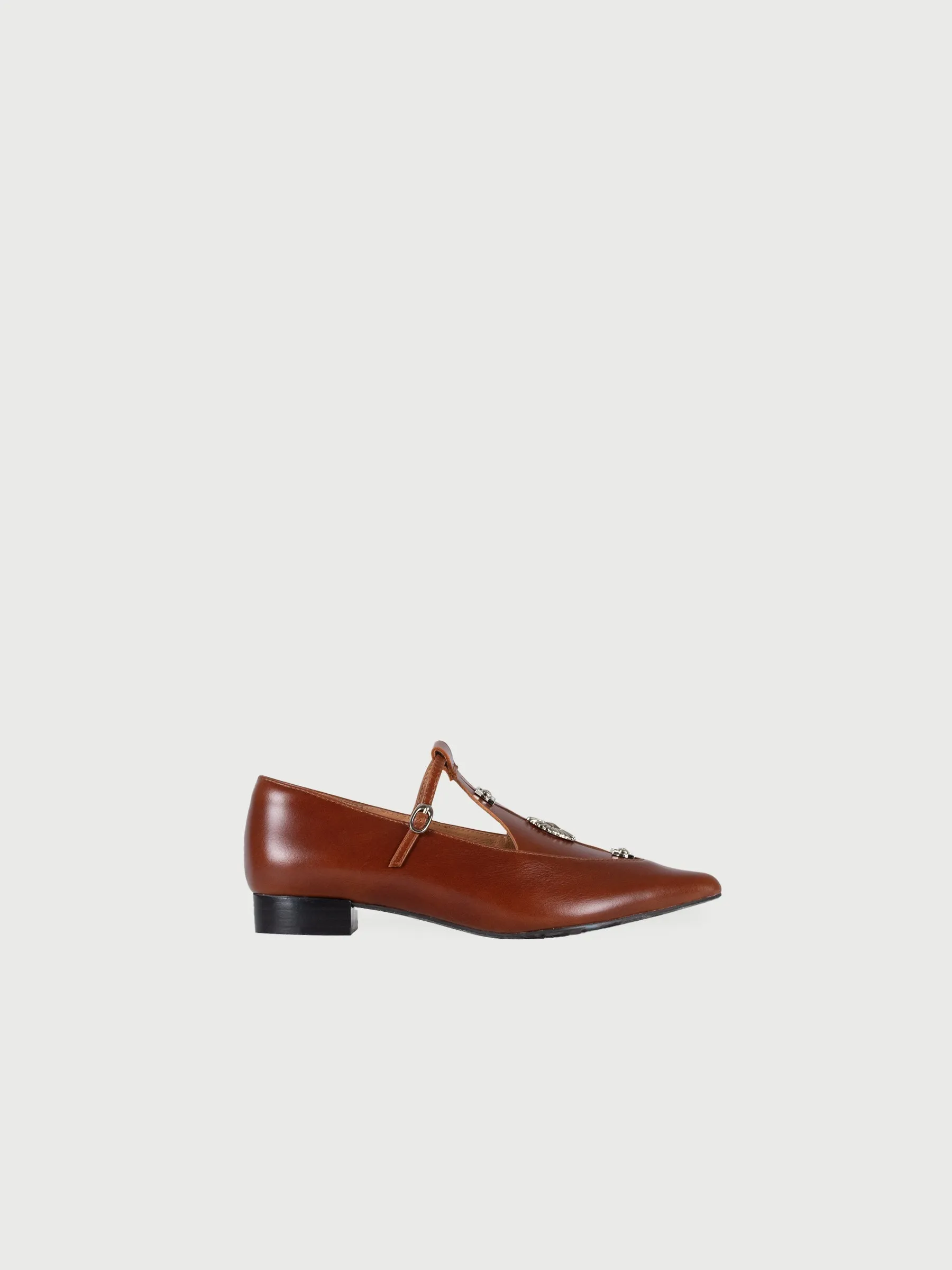 Pointed Toe Metal Pierce Mary Jane Flats
