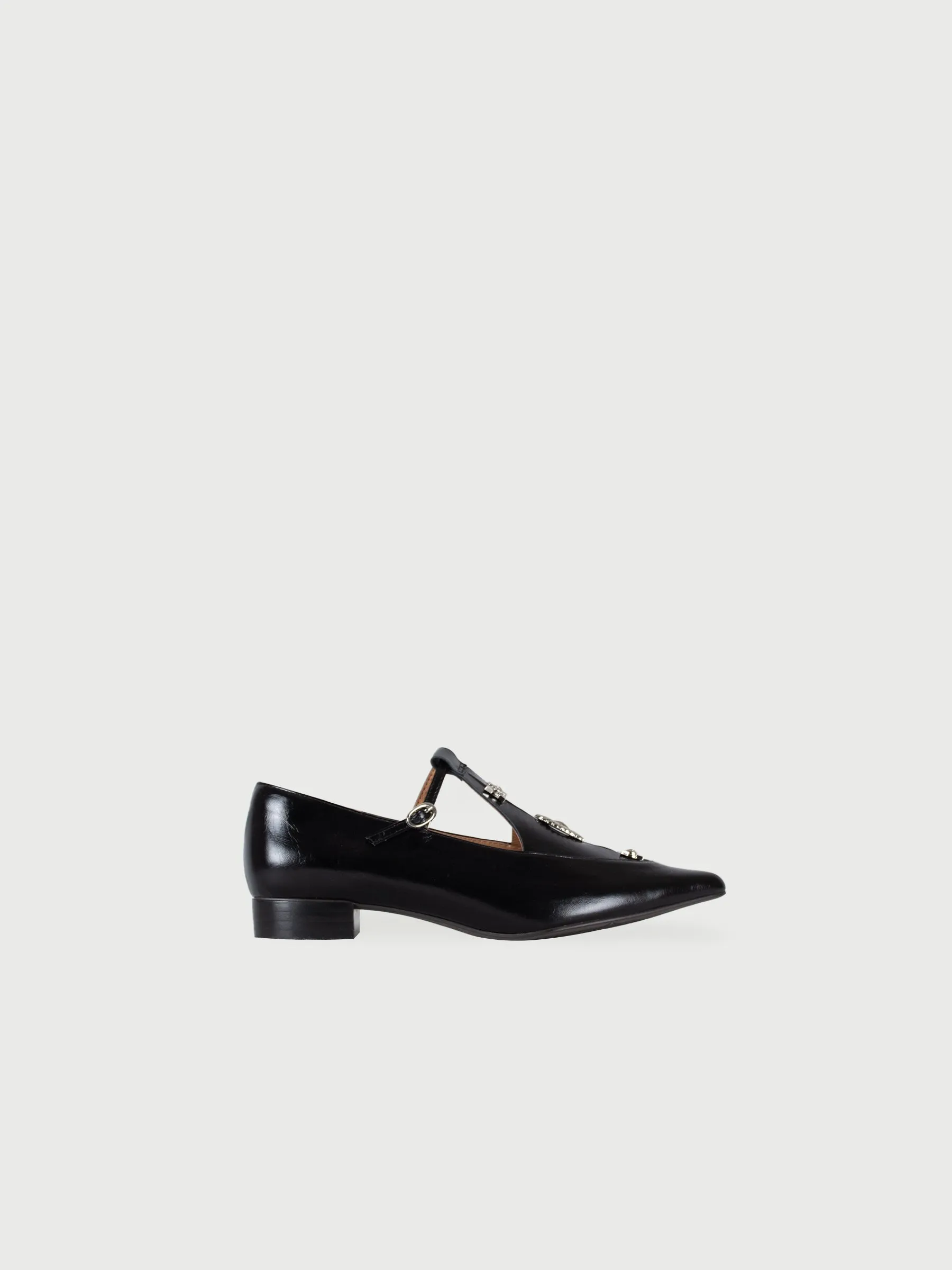 Pointed Toe Metal Pierce Mary Jane Flats
