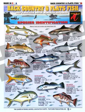 Tightlines Fish ID #10 Chart - Back Country & Flats